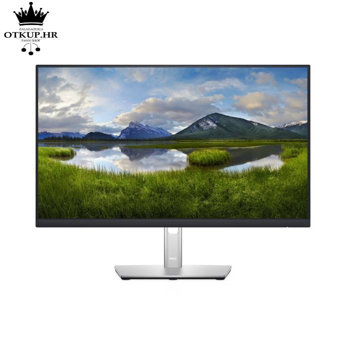 LED MONITOR DELL P2422H / R1, RATE!