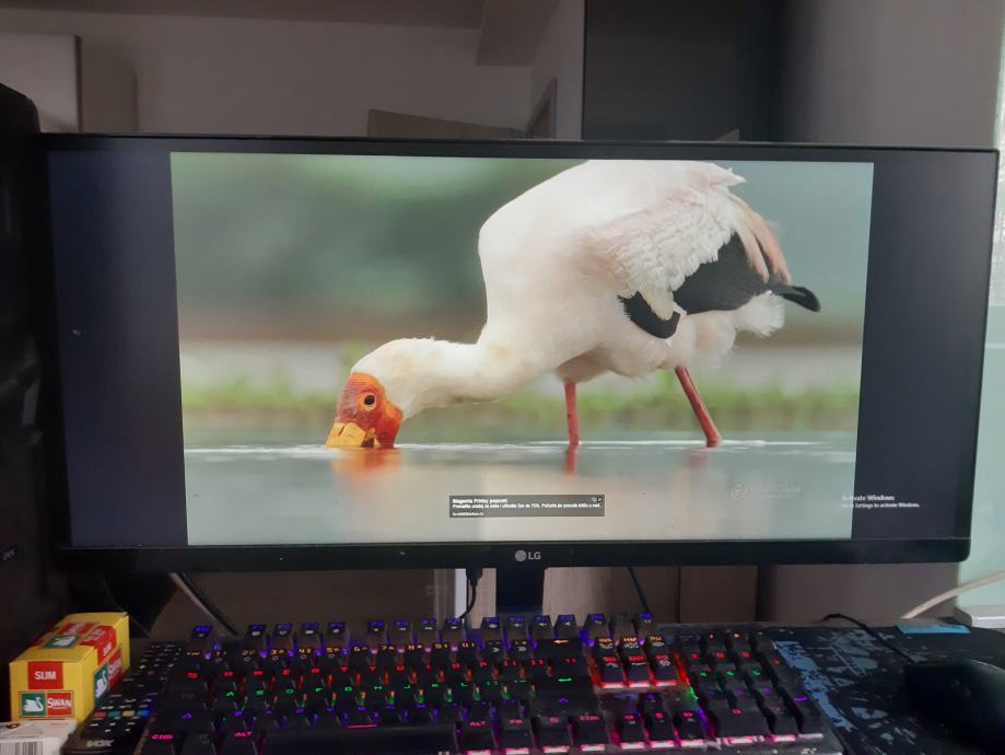 LG IPS LED ultrawidescreen gaming monitor u pola cijene!!!!