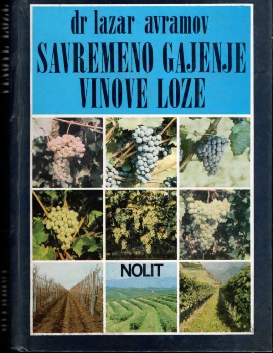 dr lazar avramov : SAVREMENO GAJENJE VINOVE LOZE