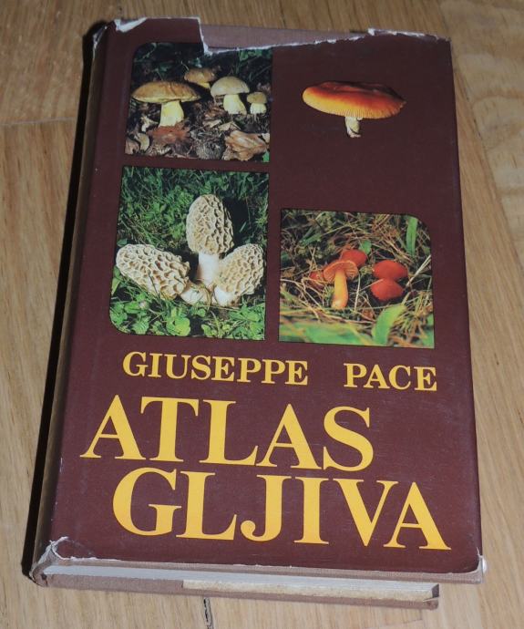 Giuseppe Pace ATLAS GLJIVA