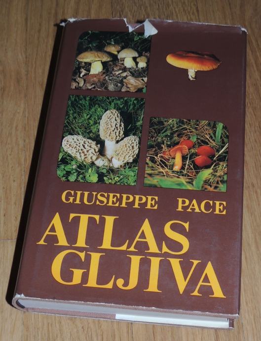 Giuseppe Pace ATLAS GLJIVA