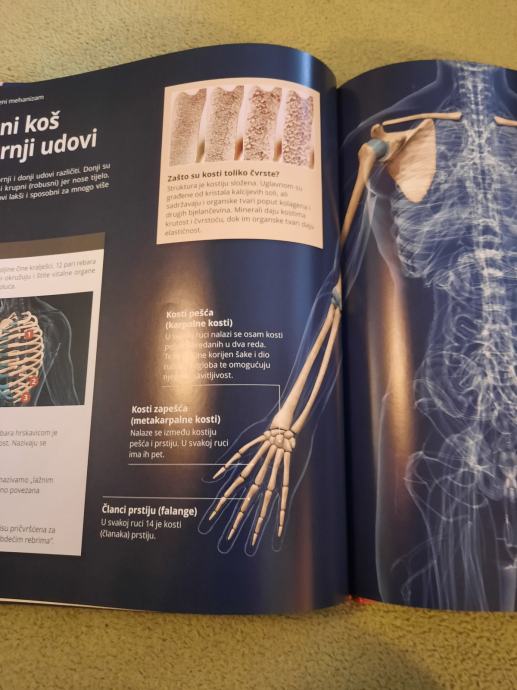 Ljudsko Tijelo Interaktivna 3d Knjiga