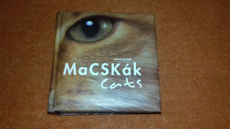 Macskák/Cats, Adriano Bacchella - 2005. godina