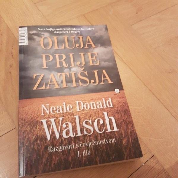 Oluja prije zatišja, Neale Donald Walsch