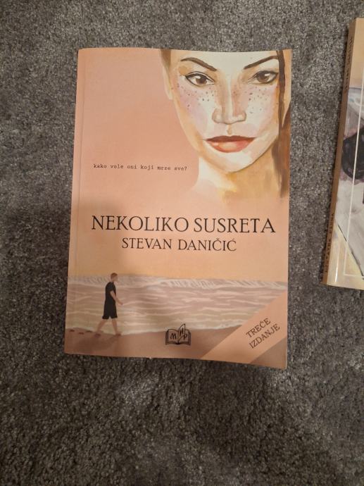 Stevan Danicic-Nekoliko susreta