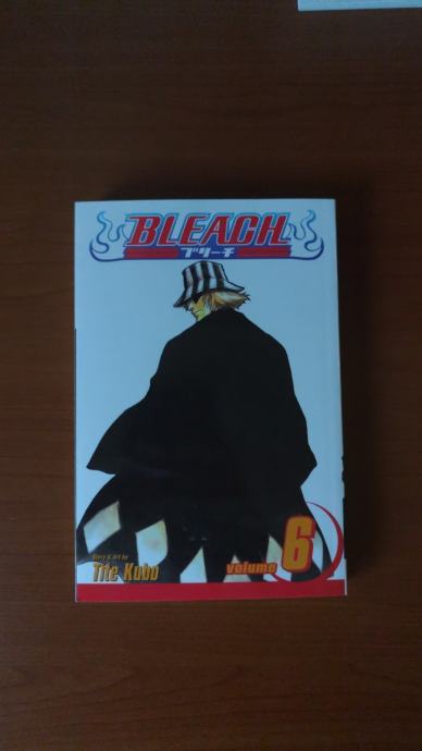 Bleach Volume 6