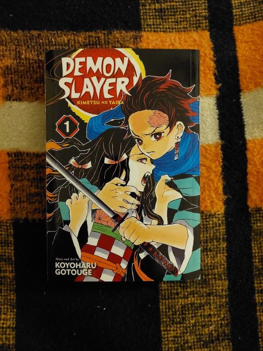 Demon Slayer, vol 1.