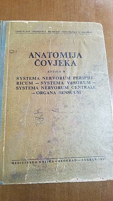 Anatomija čovjeka II