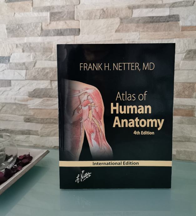 Frank H. Netter: Atlas Of Human Anatomy, International 4th Edition