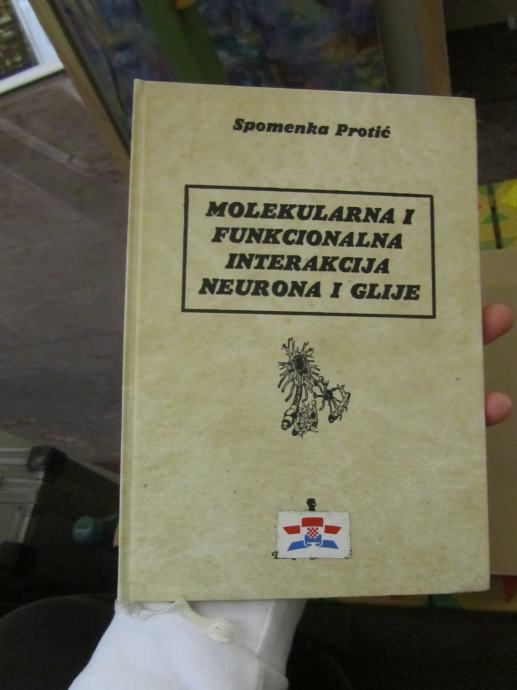 Spomenka Protić-Molekularna u funkcionalna interakcija neurona i glije