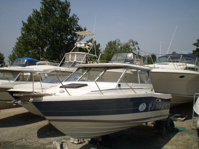 Bayliner 2159 Trophy Hardtop 