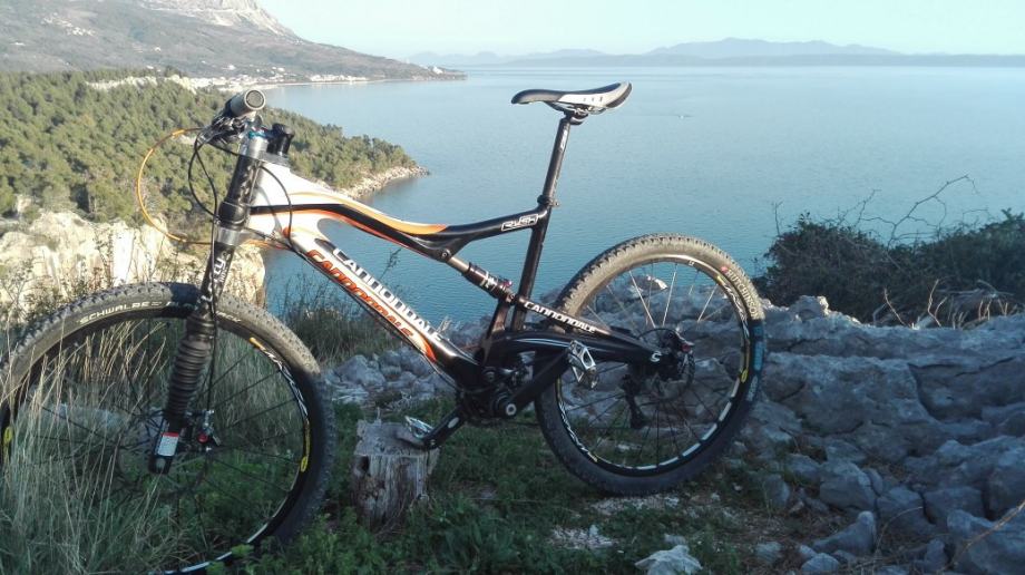 cannondale rush lefty 2006