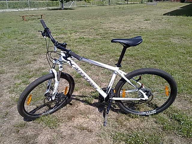 cannondale trail 6 2011