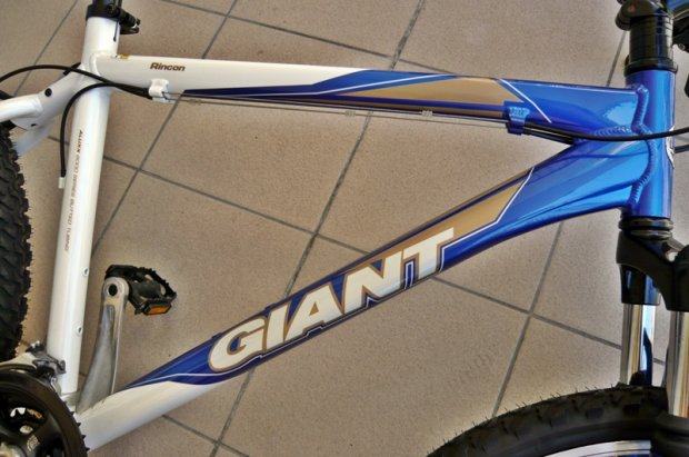 mtb giant rincon