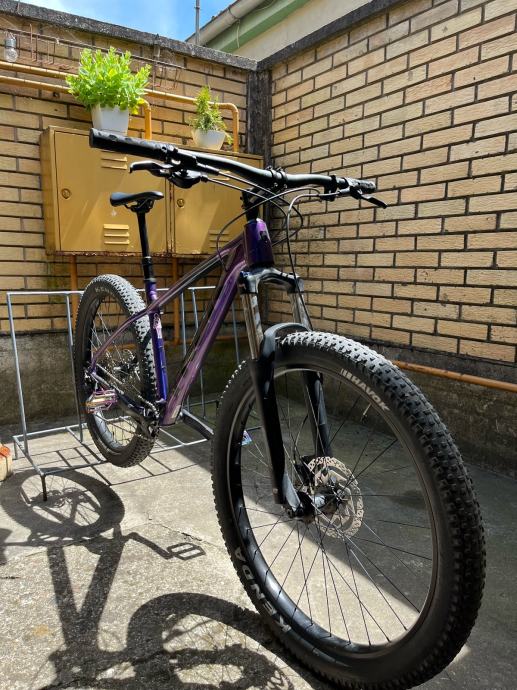 trek roscoe purple flip