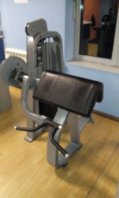 PRECOR ICARIAN ARM CURL I ARM EXTENSION