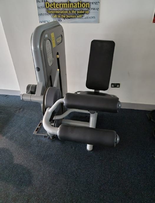 Technogym Leg extension