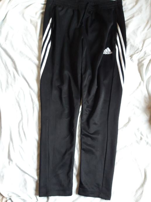 Trenirka (L) adidas doljnja