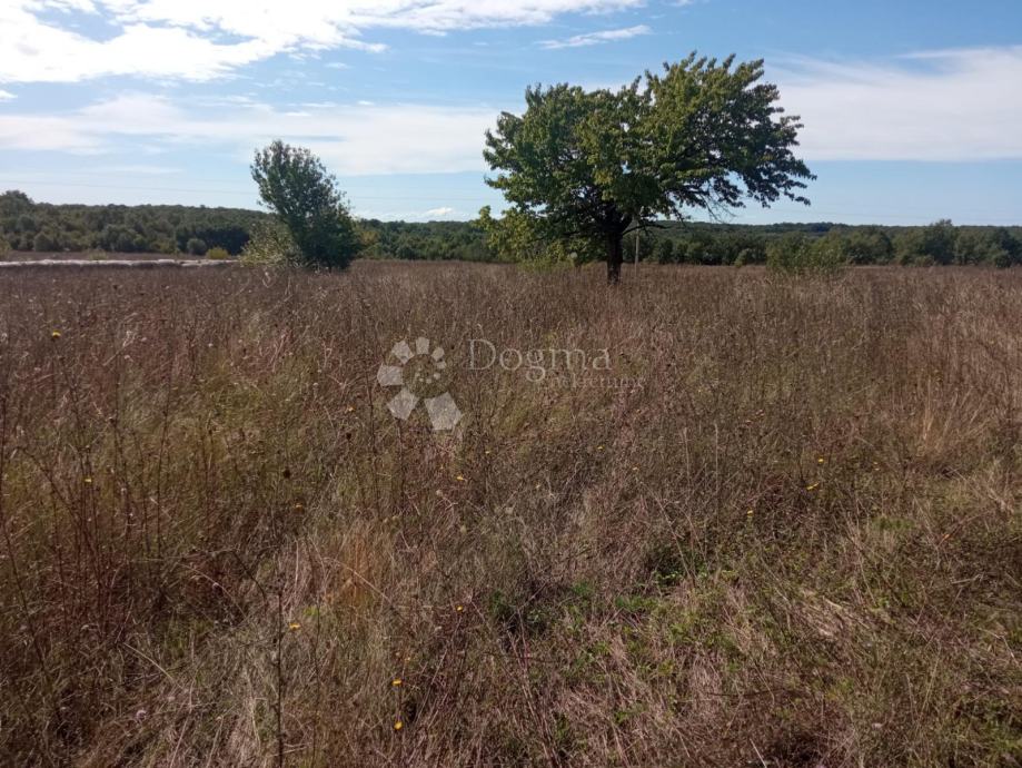 2,5 ha zemljišta na odličnoj lokaciji