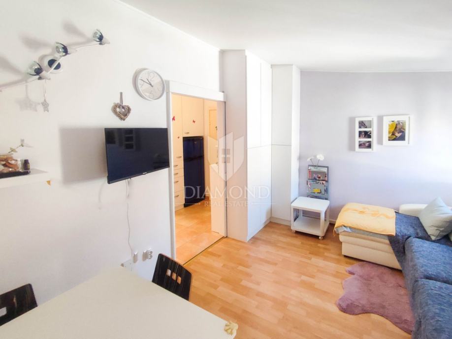 Apartman blizu mora Novigrad okolica! (prodaja)