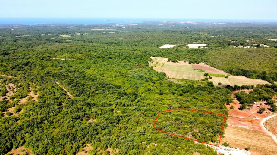 BALE - Šuma s panoramskim pogledom na more i Rovinj