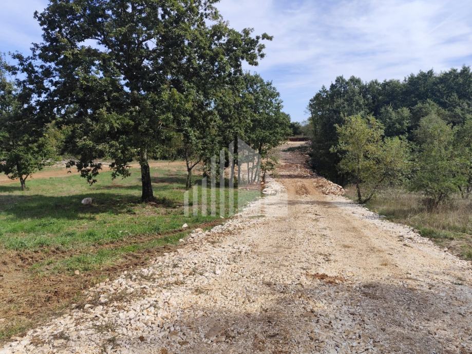 Barban - okolica, građevinsko zemljište na mirnoj lokaciji