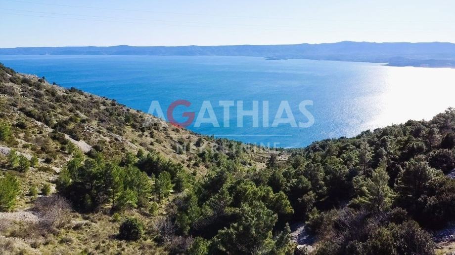 Bol, Brač, zemljište 27.980 m2