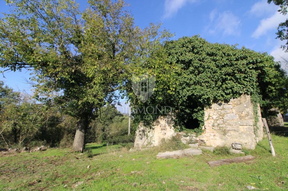 Boljun, okolica, kamena kuća za adaptaciju (prodaja)