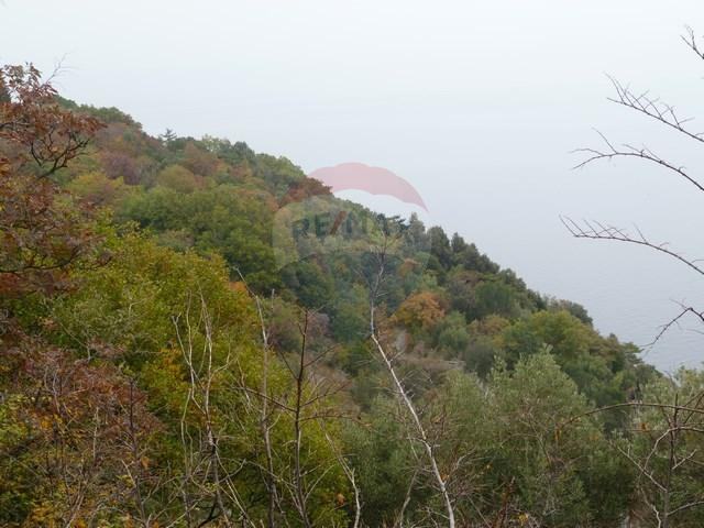 BRSEČ - 7.067 m2 - NEGRAĐEVINSKI TEREN