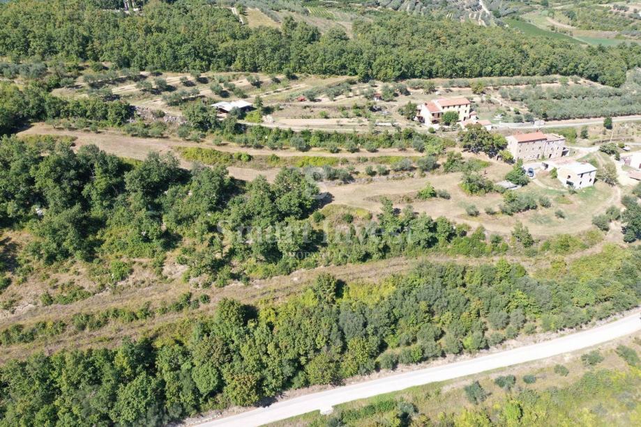 BUJE - MOMJAN, starina sa zemljištem površine 16.691 m2