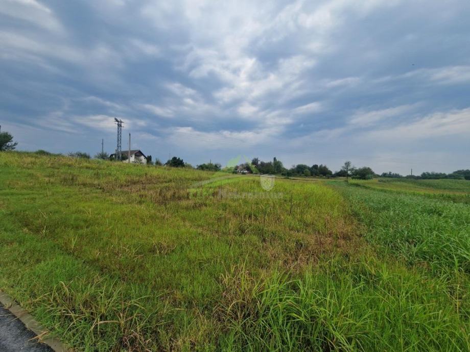 Građevinsko zemljište 2000 m2 površine - Korenjak!