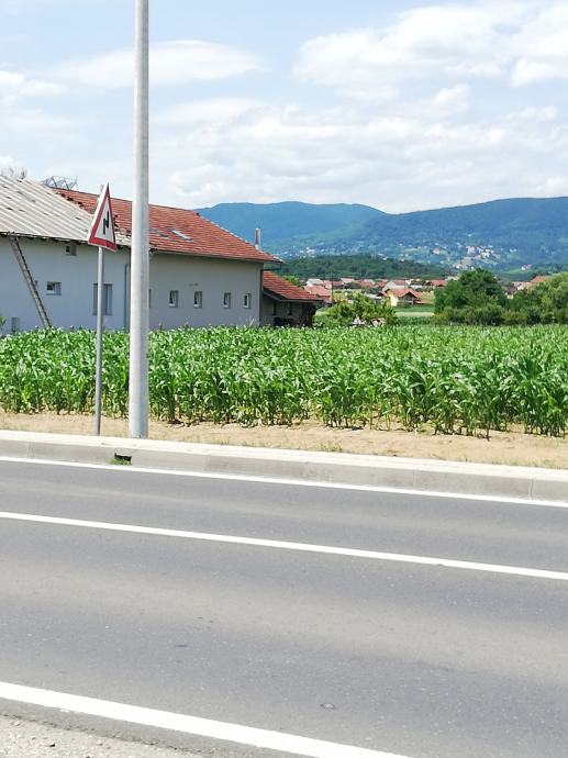 Građevinsko zemljište, Donji Desinec, 4784 m2 - spremno za gradnju