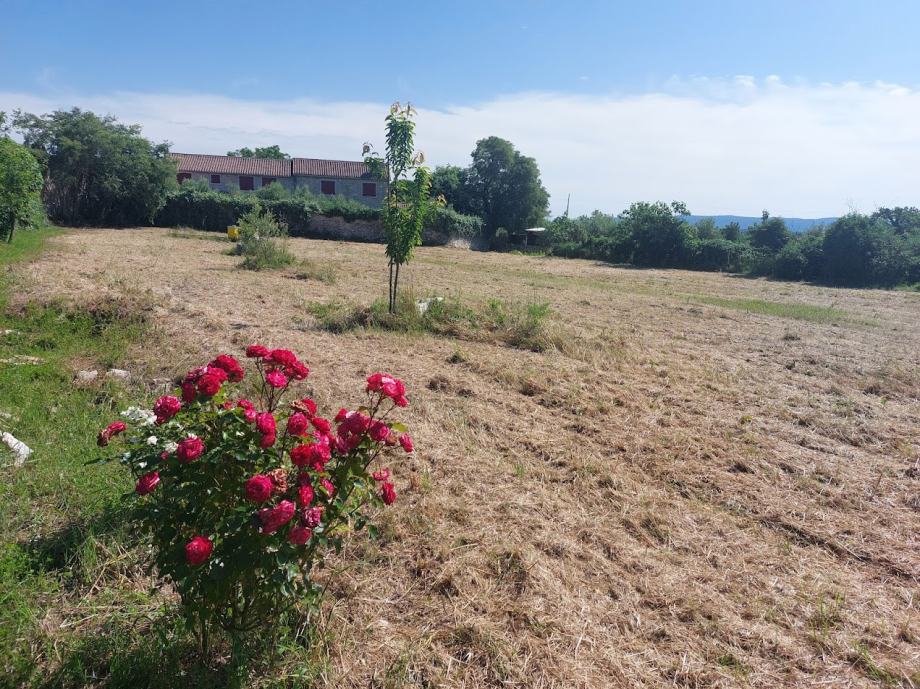 Građevinsko zemljište s kamenom kućom i uporabnom - 2000 m2