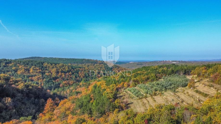 Građevinsko zemljište sa predivnim pogledom u blizini Grožnjana