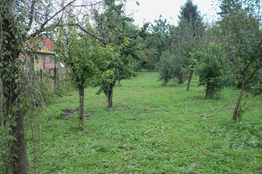 Građevinsko zemljište: Sarvaš, 1600 m2