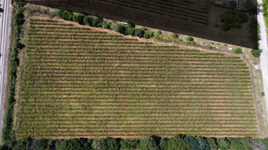 Građevinsko zemljište u Siveriću, 11 000 m2