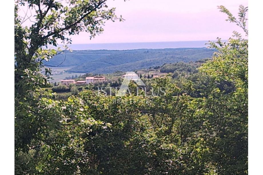 GROŽNJAN- GRAĐEVINSKA PARCELA SA PREDIVNIM POGLEDOM NA MORE ID: 1-2422