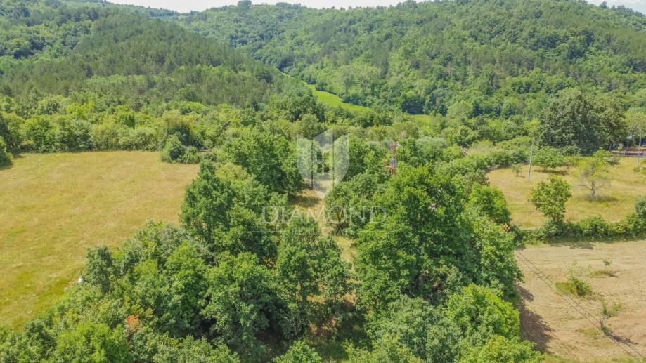 Grožnjan okolica, građevinsko zemljište na mirnoj lokaciji