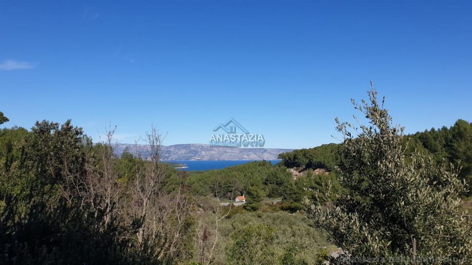 HVAR-JELSA ATRAKTIVNO POLJOPRIVREDNO ZEMLJIŠTE 33.500m2 ZA OPG!!!!!!!