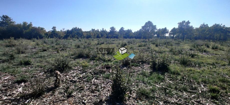 Istra, Bale, poljoprivreno zemjište 22821m2, TOP LOKACIJA, prodaja