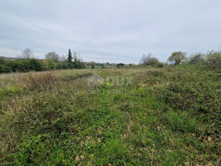 ISTRA, BRTONIGLA - Građevinsko zemljište s pogledom na more