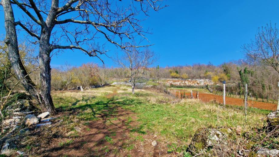 Istra,Grožnjan,okolica-Građevinsko zemljište u mirnom okruženju