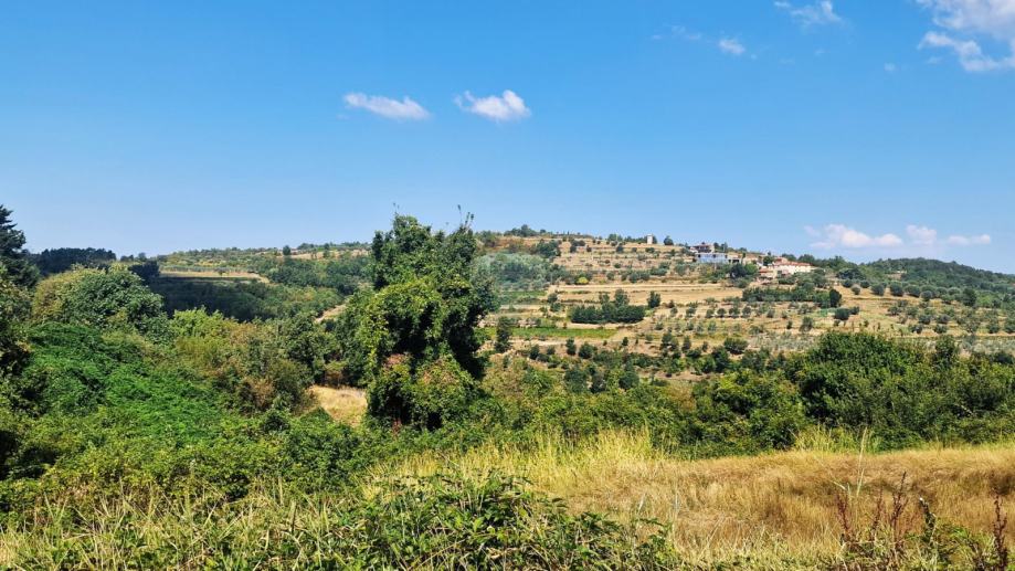 Istra,Momjan-Građevinsko zemljište s ruševinom