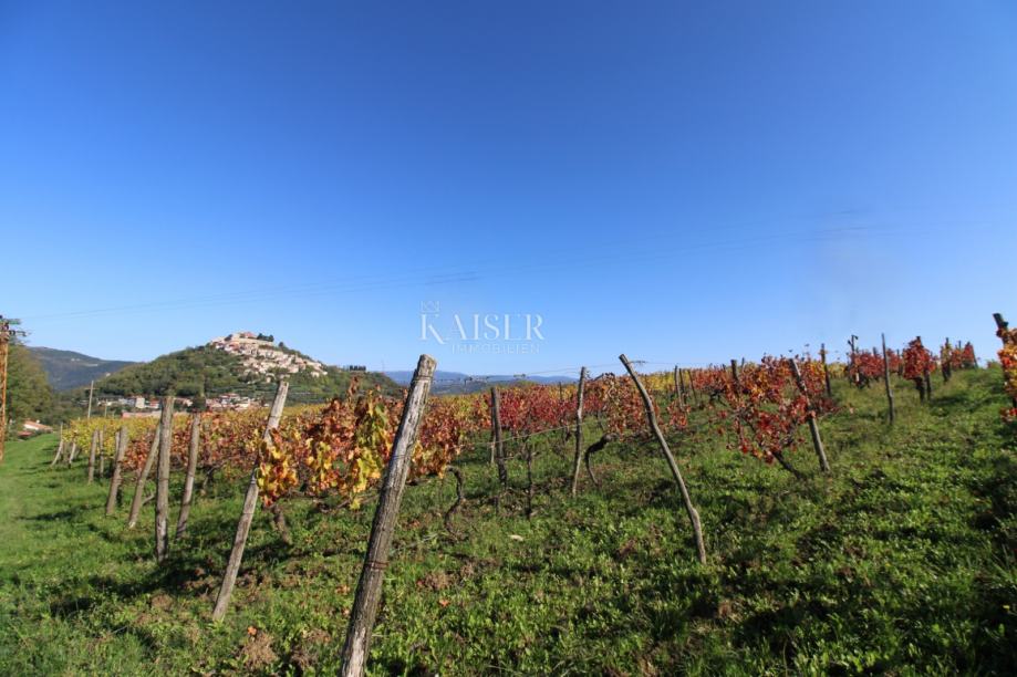 Istra - Motovun, građevinsko zemljište pogled Motovun