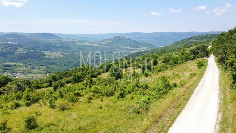 ISTRA, MOTOVUN kompleks zemljište s predivnim panoramskim pogledom