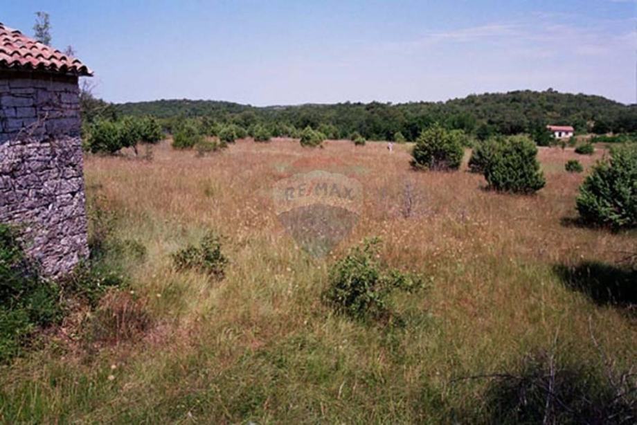 Istra,okolica Rovinja, zemljište 25117m2