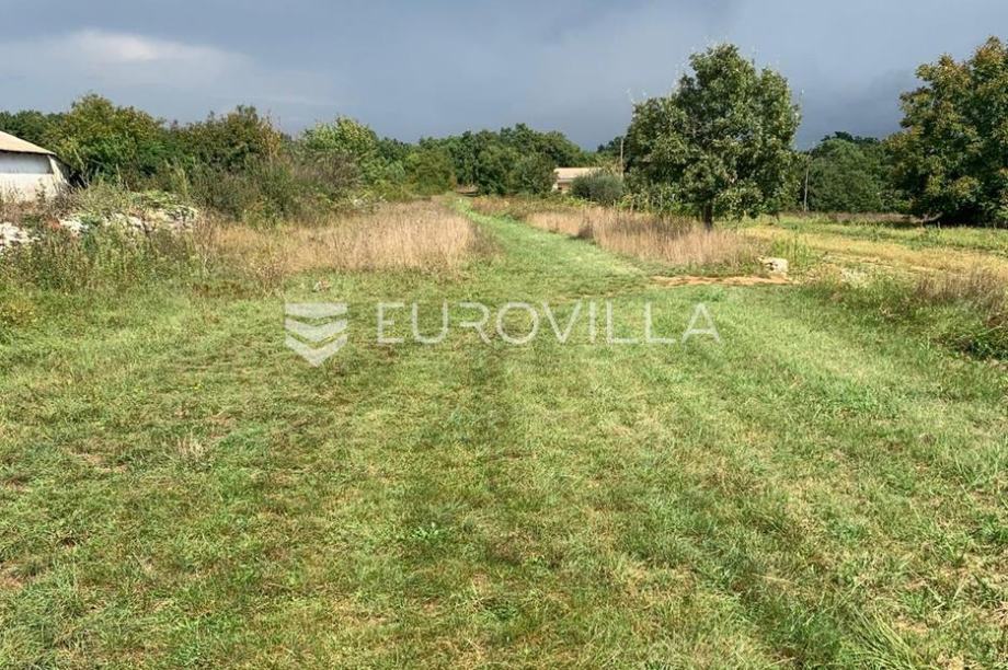 Istra, Svetvinčenat - građevinsko zemljište 502 m2 s privatnim putem,