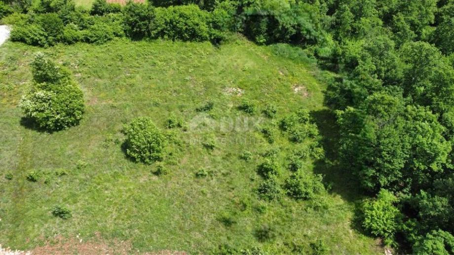 ISTRA, TINJAN - Građevinsko zemljište na mirnoj lokaciji