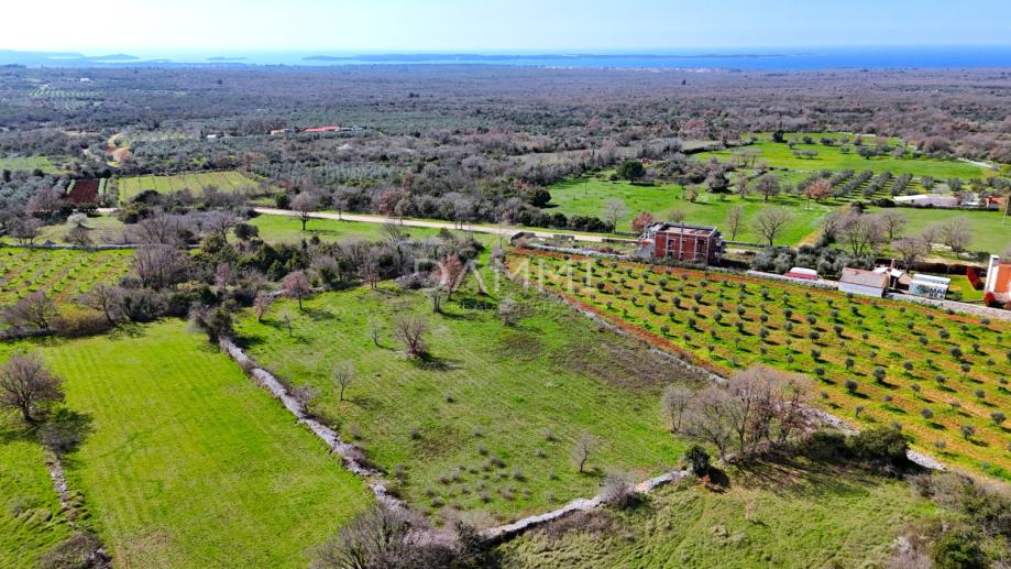 ISTRA, VODNJAN - Građevinsko zemljište s pogledom na more