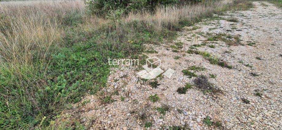 Istra, Žminj, više građevinskih zemljišta od 533m2 #prodaja